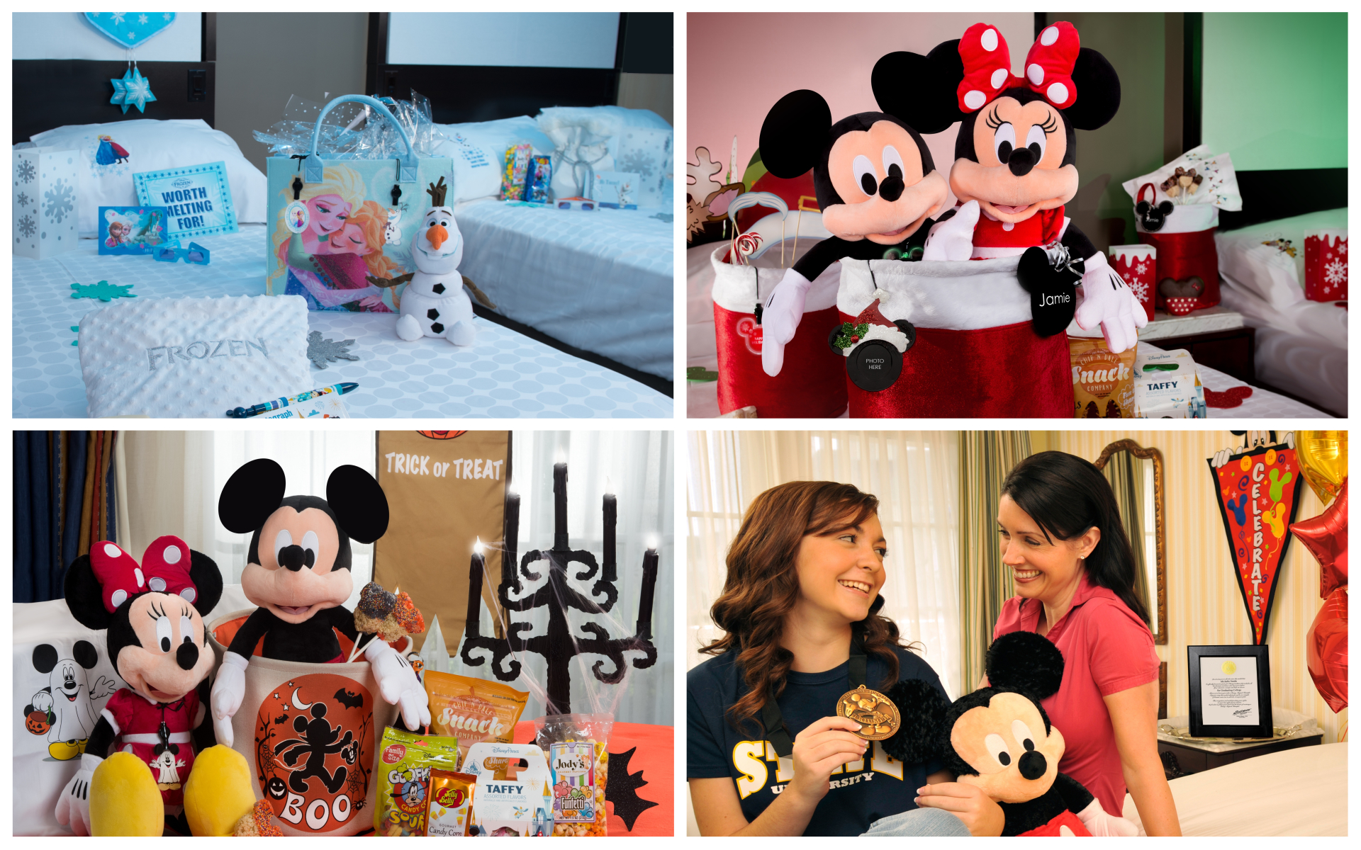 disney travel company package
