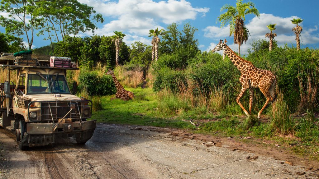 Must do ride Kilimanjaro Safari