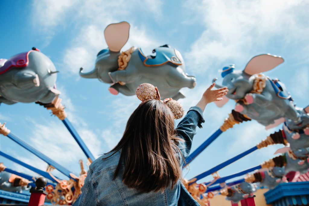 WALT DISNEY WORLD visual data 4