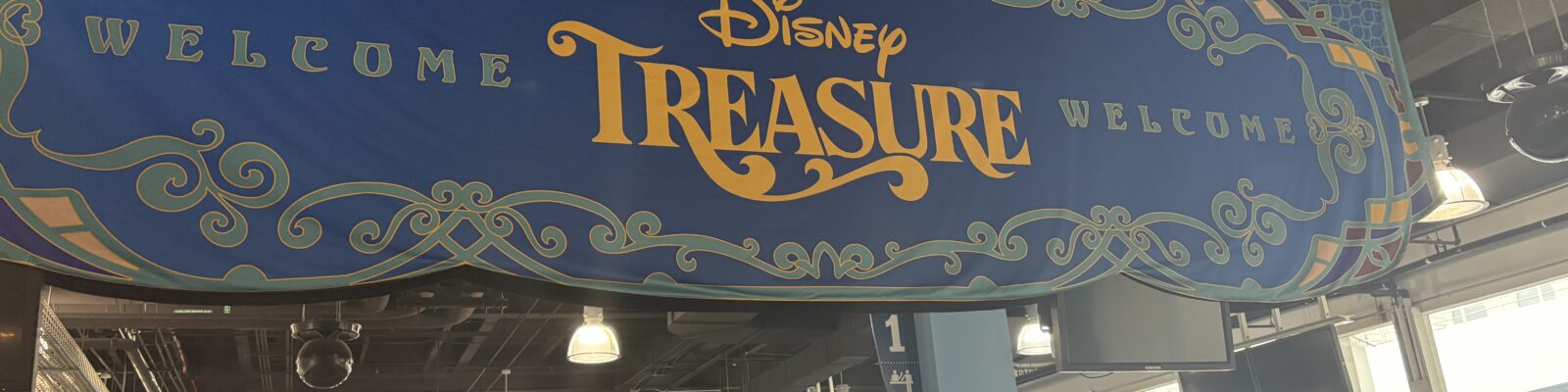 Disney Treasure